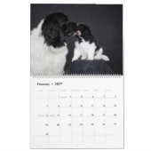 Landseer Love Kalender (Feb 2027)
