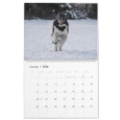 Landseer Love Kalender (Jan 2026)