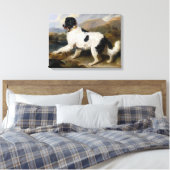Landseer Newfoundland Dog (zwart en wit dier) Canvas Afdruk (Insitu (Slaapkamer))