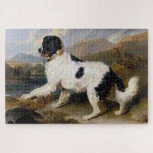 Landseer Newfoundland Dog (zwart en wit dier) Legpuzzel