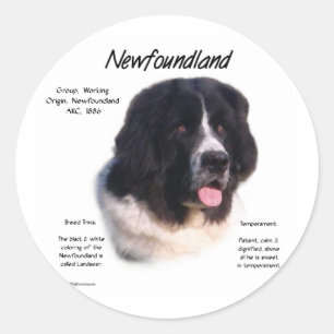 Landseer Newfoundland Geschiedenis; Ik hou van New Ronde Sticker
