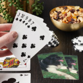 Landseer Newfoundland hond speelkaarten (Insitu)