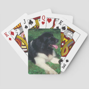 Landseer Newfoundland hond speelkaarten