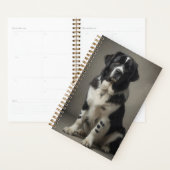 Landseer Planner (Display)