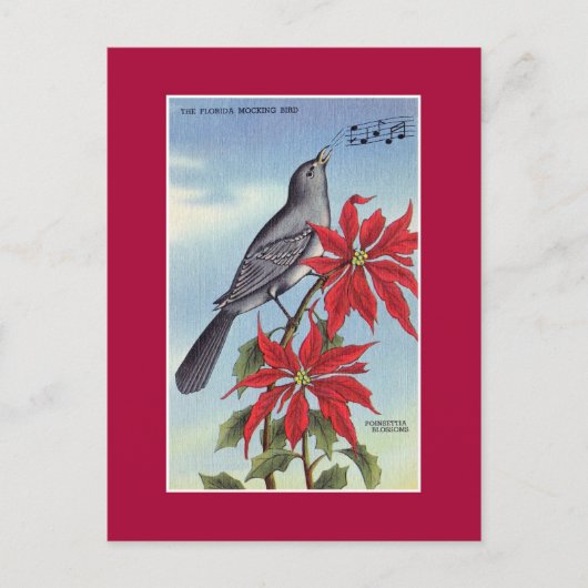 Landvogel van Florida en bloem (spotvogel) Briefkaart (Voorkant)