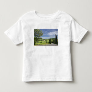 Landweg die kromt tussen cipressen in kinder shirts