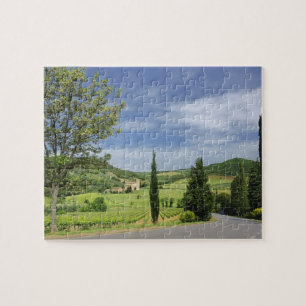Landweg die kromt tussen cipressen in legpuzzel