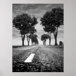 Landweg met boomgeoriënteerd perspectief poster