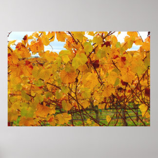 Landwijnbouw Napa Valley Land Poster