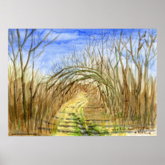"Lane met Arched Branches" waterverf landschap Poster