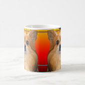 Lang haar Chihuahua genaamd Dylan Koffiemok (Center)