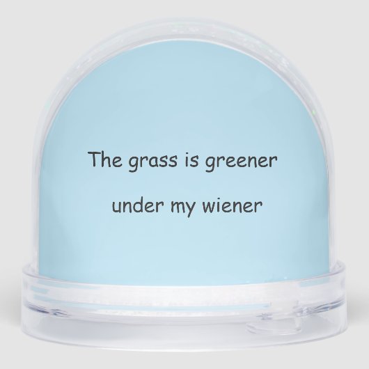 LANG HAAR ZWART EN BRUIN TECKEL SNEEUWBOL (Achterkant)