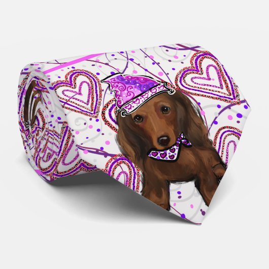 LANG HAIRED DOXIE STROPDAS (Opgerold)