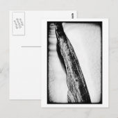 lang, hard koud eenzaam briefkaart (Voorkant / Achterkant)