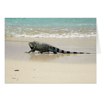 Lang loopt op het strand