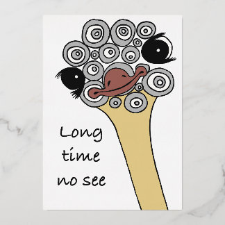 Lang niet gezien – laten we elkaar weer ontmoeten folie uitnodiging