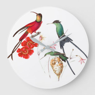 Langdurige Hummingbird Birds Floral Wall Clock Grote Klok