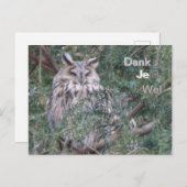 Lange-eared Uil Dank u Briefkaart (Voorkant / Achterkant)