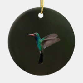 Lange kolibrie tijdens de vlucht keramisch ornament