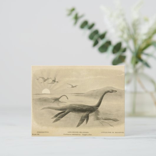 Lange nek Zee Lizard Zoological Sketch Briefkaart (Staand voorkant)