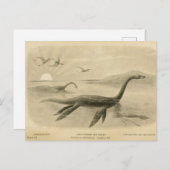 Lange nek Zee Lizard Zoological Sketch Briefkaart (Voorkant / Achterkant)