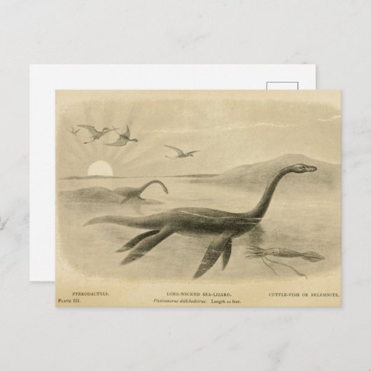 Lange nek Zee Lizard Zoological Sketch Briefkaart (Voorkant / Achterkant)