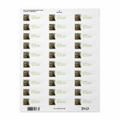 Lange oorwortel Uil Mailing Labels (Full Sheet)