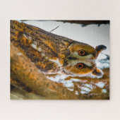 Lange opgeruimde kippen - vogels van prooi. legpuzzel (Horizontaal)