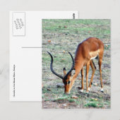 langerlopende subsidie briefkaart (Voorkant / Achterkant)