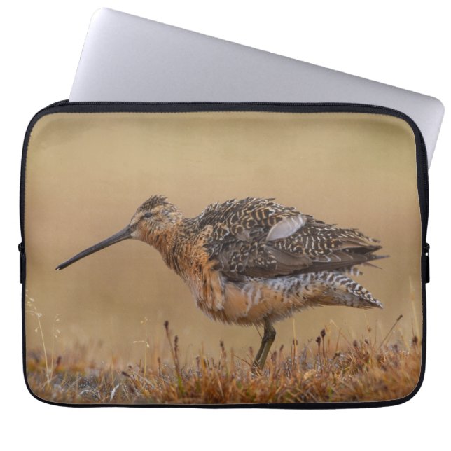langgefactureerde Dowitcher Laptop Sleeve (Voorkant)
