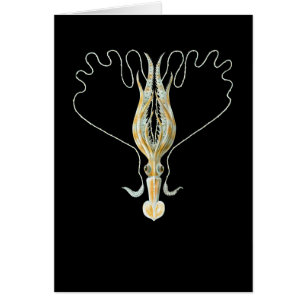 Langgewapend vierkant