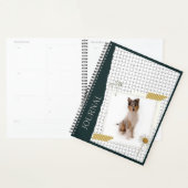 Langhaar Collie  Planner (Display)