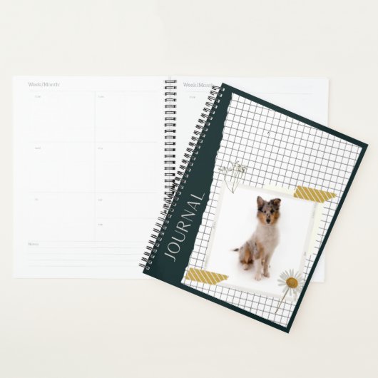 Langhaar Collie  Planner (Display)