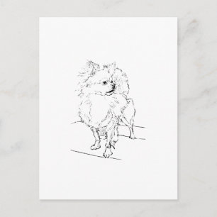 Langharige Chihuahua - Minimalistische Hondenillus Briefkaart