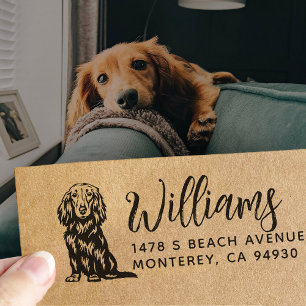 Langharige Dachshund-eigenaar retouradres hond Rubberstempel