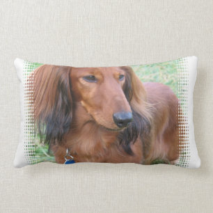 Langharige Dachshund Kussen
