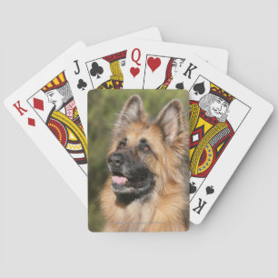 Langharige Duitse Herdershond 1 Pokerkaarten