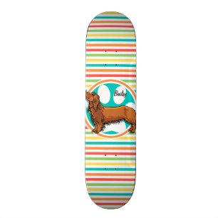 langharige teckel; heldere regenboogstrepen skateboard