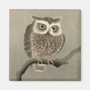 langharige uil magneet