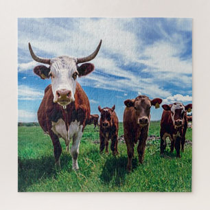 Langhoornrunderen Legpuzzel