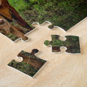 Langhoornrunderen Texas Legpuzzel (Zijkant)