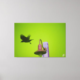 Langley Crow op lichtpaal serie #5 Canvas Afdruk
