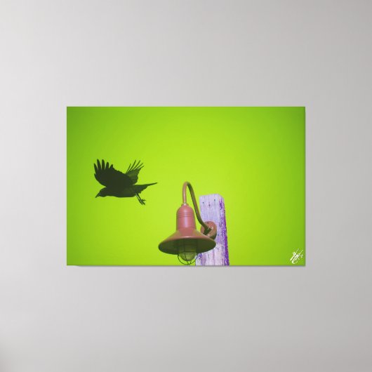 Langley Crow op Light Post Series #5 Canvas Afdruk (Voorkant)