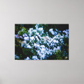 Langley Waterfront #11 Canvas Afdruk (Voorkant)