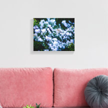 Langley Waterfront Bloemcluster Fotografie
