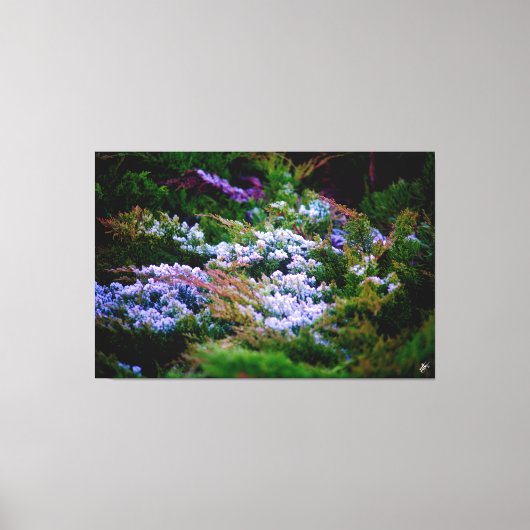 Langley waterkant #5 canvas afdruk (Voorkant)