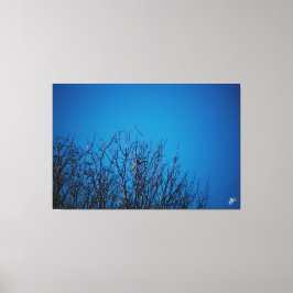 Langley waterkant #8 canvas afdruk