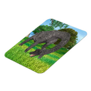 Langnek Dinosaurus Jungle Avontuur Magneet