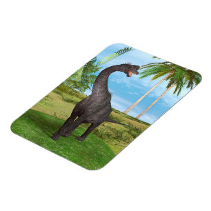 Langnek Dinosaurus Jungle Avontuur Magneet
