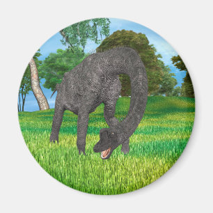 Langnek Dinosaurus Jungle Avontuur Magneet